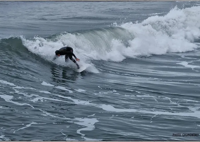 La Casa Sul Molo 3* فياريجيو