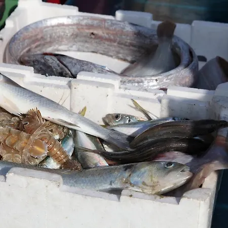 La Casa Sul Molo 住宿加早餐酒店