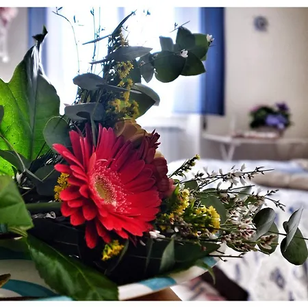 La Casa Sul Molo 비아레지오