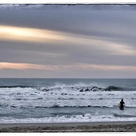 La Casa Sul Molo 住宿加早餐酒店 3*