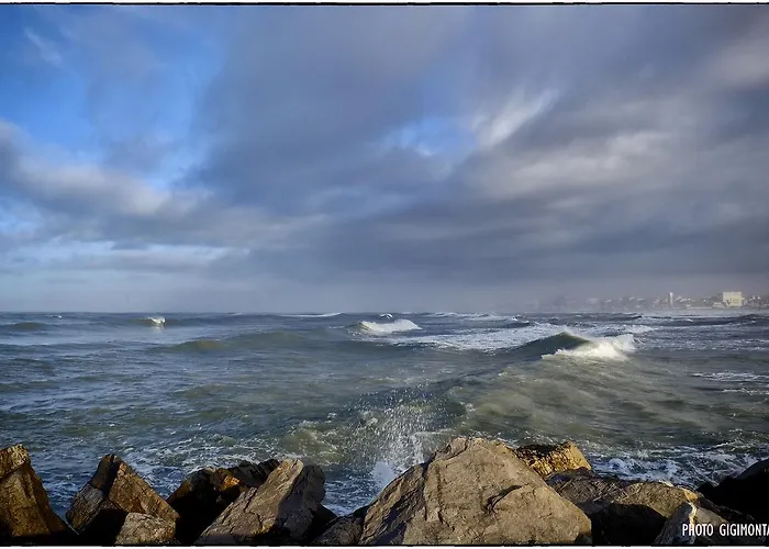 La Casa Sul Molo Panzió Viareggio