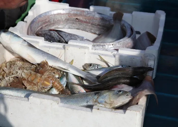 La Casa Sul Molo Oda ve Kahvaltı